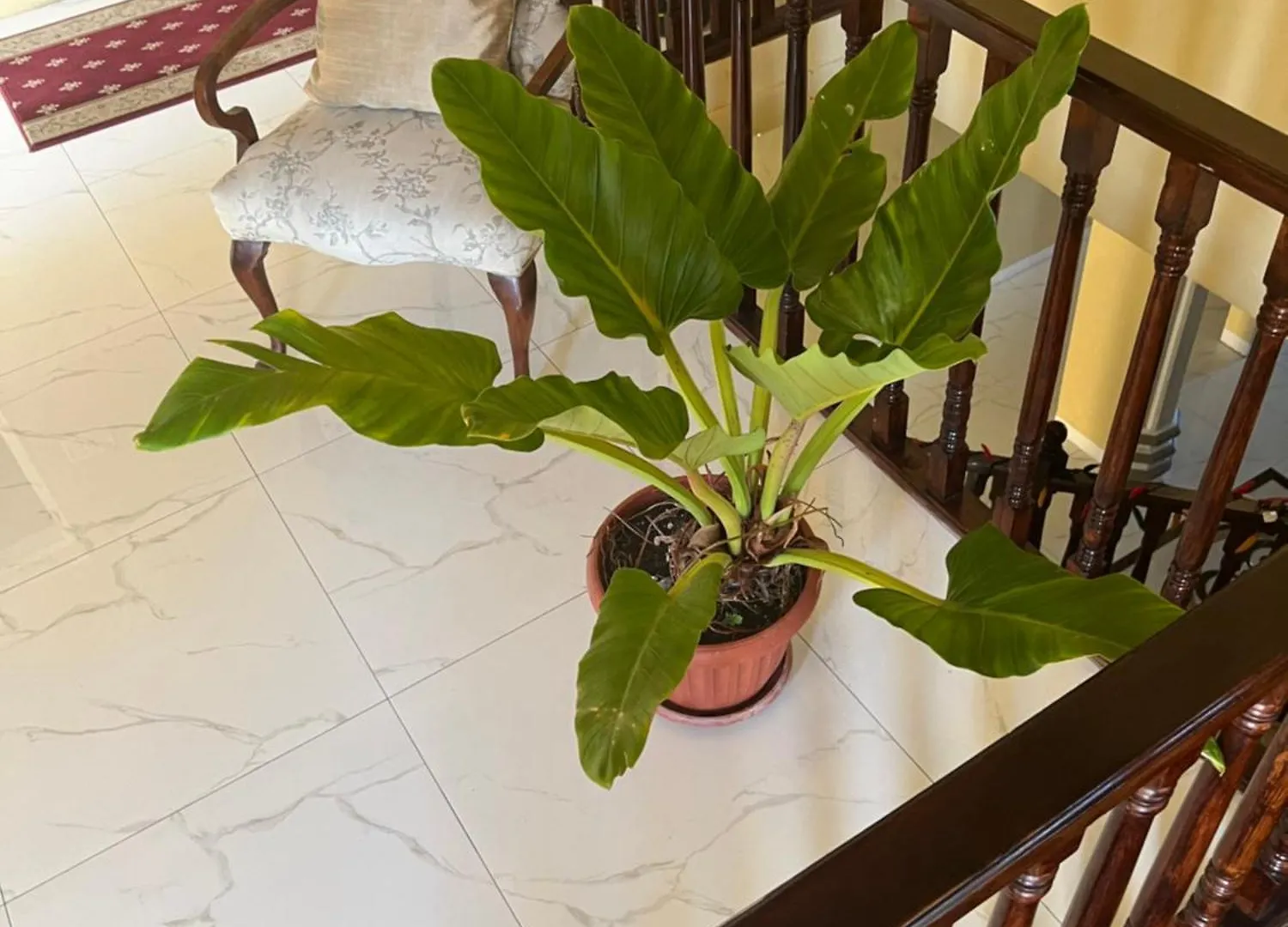 Bed and Breakfast Lagardan Ocean View RioNuoya